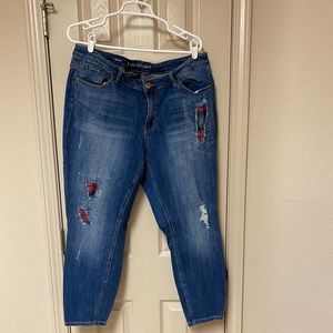 Lane Bryant Distressed Jeans